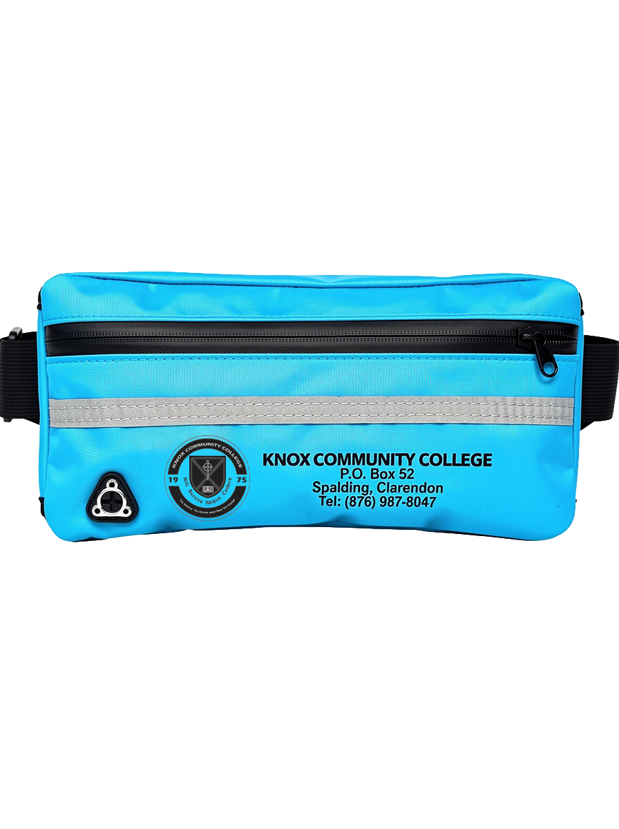Waist Pack
